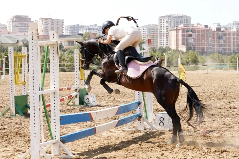 Bakıda konkur üzrə turnir: insan və atın dosta çevrildiyi məkan - İDMAN.BİZ-in REPORTAJI - FOTO/VİDEO
