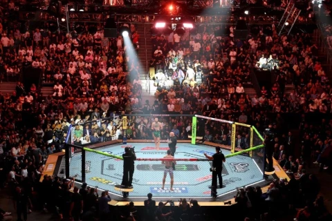 UFC назвал места проведения двух последних номерных турниров 2026 года