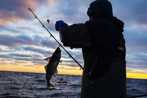 Azerbaijan Carp Fishing Championship to be held in Shamakhi