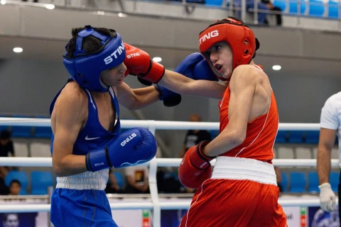Boks üzrə U-15 Azərbaycan Kubokunun qalibləri müəyyənləşib