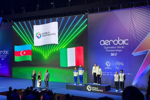 Азербайджанские гимнасты завоевали "серебро" на чемпионате мира в Испании - ФОТО