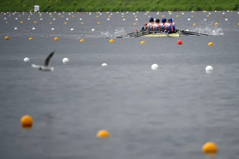 Crocodile-inhabited river approved as venue for Brisbane 2032 Olympics
