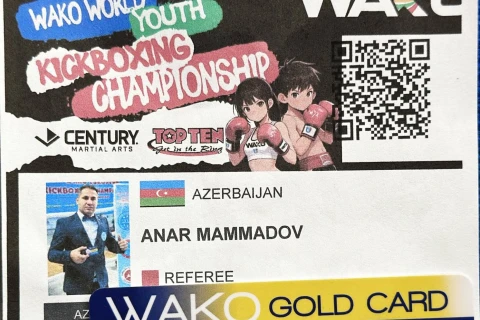 Azərbaycan kikboksçuları dünya çempionatında 16 medal qazandı