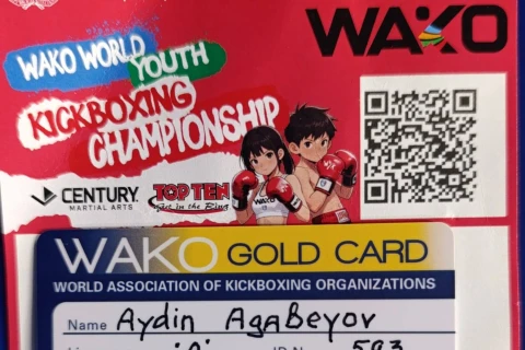 Azərbaycan kikboksçuları dünya çempionatında 16 medal qazandı