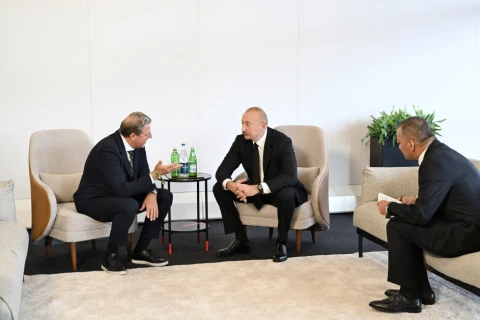 Prezident İlham Əliyev Beynəlxalq Xizək və Snoubord Federasiyasının prezidenti ilə görüşüb - FOTO