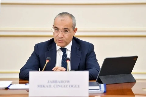 Микаил Джаббаров поздравил азербайджанских борцов с историческим успехом - ФОТО