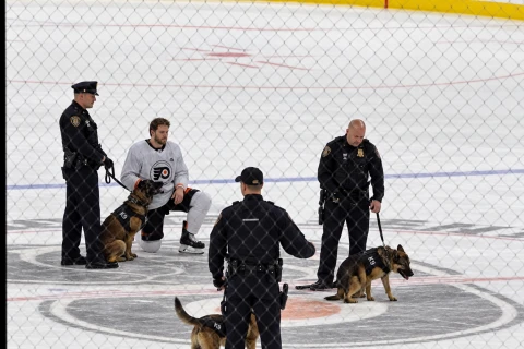 Police dog leaves unexpected ‘mark’ on Flyers logo before 0-7 defeat