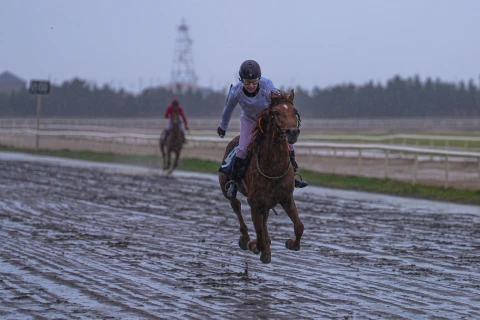 Binə Atçılıq Mərkəzində cıdır mövsümünün növbəti yarışları keçirilib - FOTO