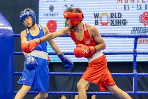 Пять боксеров Азербайджана одержали победы на чемпионате Европы U17 - ФОТО