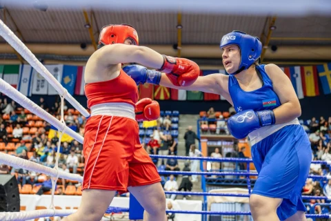 Пять боксеров Азербайджана продолжат борьбу за медали ЧЕ U17