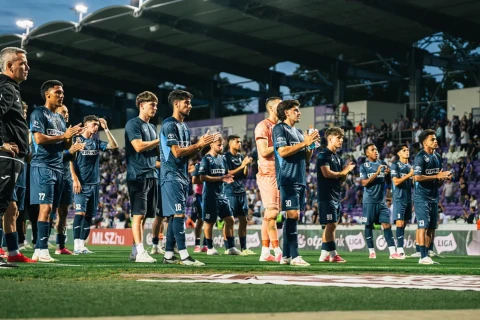 Hungarian football club names 11 stray dogs in unusual matchday lineup