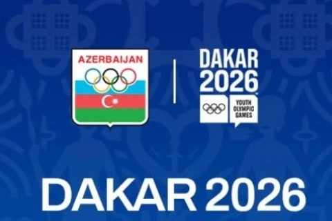 Azərbaycan Yeniyetmələrin Yay Olimpiya Oyunlarında səkkiz idman növü üzrə təmsil olunacaq