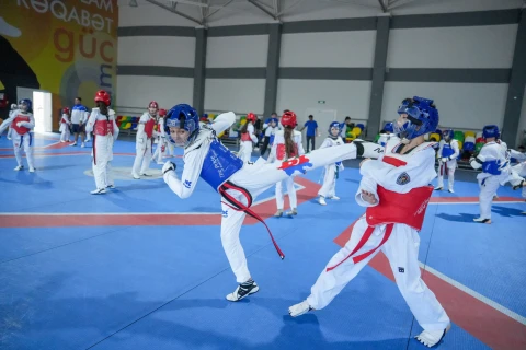 Сборная Азербайджана по таэквондо завершила сборы перед чемпионатом Европы - ФОТО