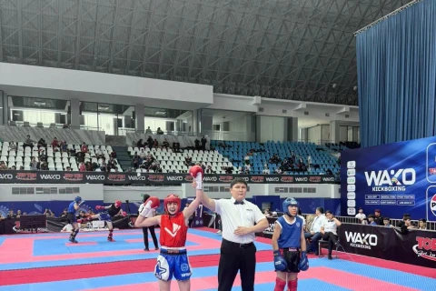 Kikboksçularımız Daşkənddə 38 medal qazandılar - FOTO