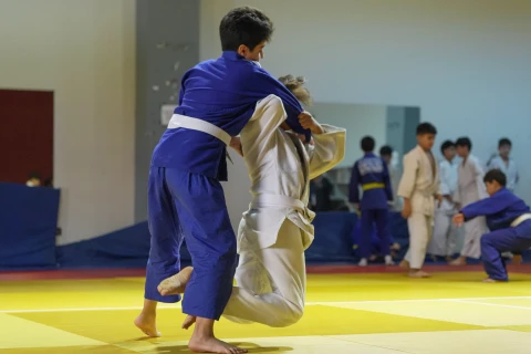 379 cüdoçumuz kəmər imtahanında iştirak edib - FOTO