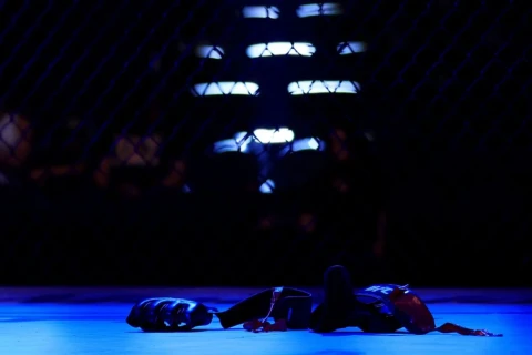 UFC plans to expand into former Soviet countries, with more events expected in Azerbaijan